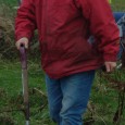 They only had an hour to do it but the fifty or so  volunteers – including children – who turned up to do the Tree O’Clock challenge just beside Point […]