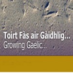 New Gaelic Arts & Culture officer